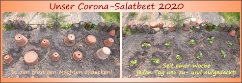 Corona-Salatbet2020-Logo2