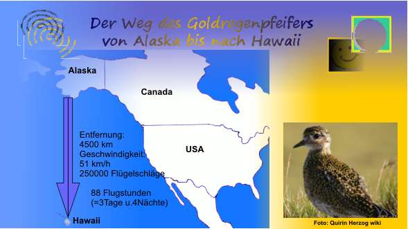 03-Alaska-Hawaii-neu