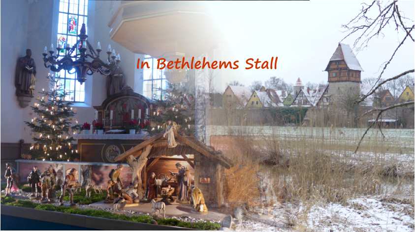 05-in Bethlehems Stallx