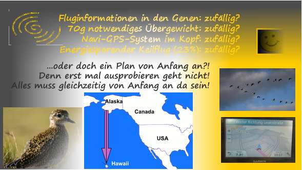 06-zuf�llig-Plan-neu