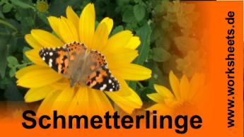 1-Schmetterlinge