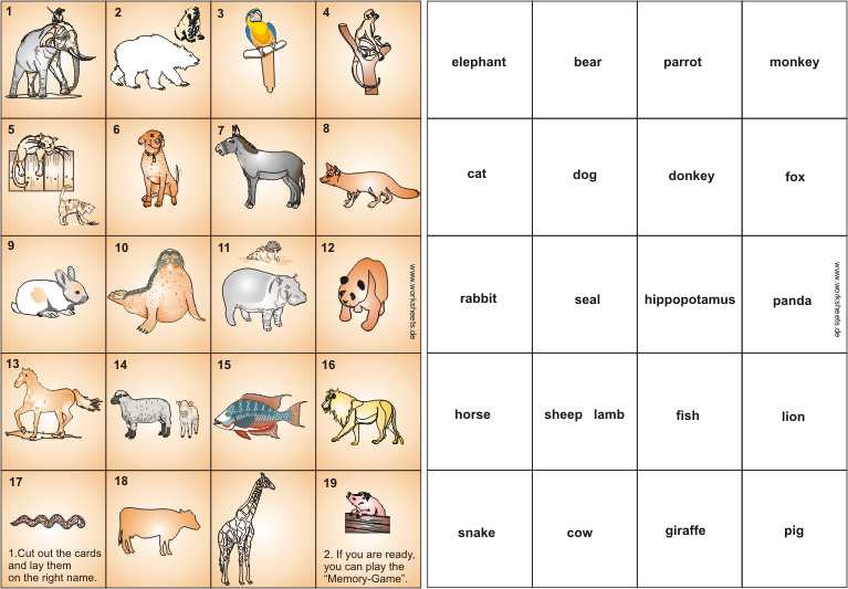 Animal-Cards-Game