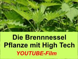 Brennnessel-Logo