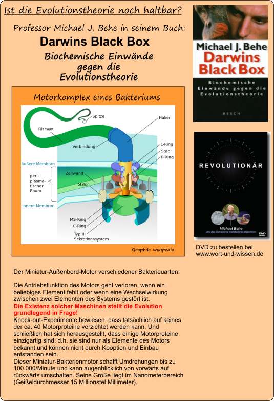 Evolution-Schpfung-Hauskreis.