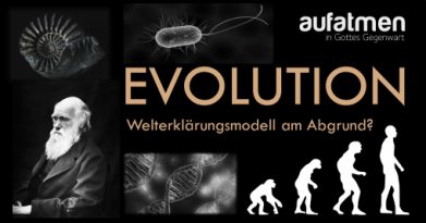 Evolution-WM am Abgrund-logo