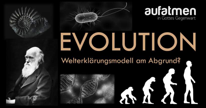 Evolution-WM am Abgrund