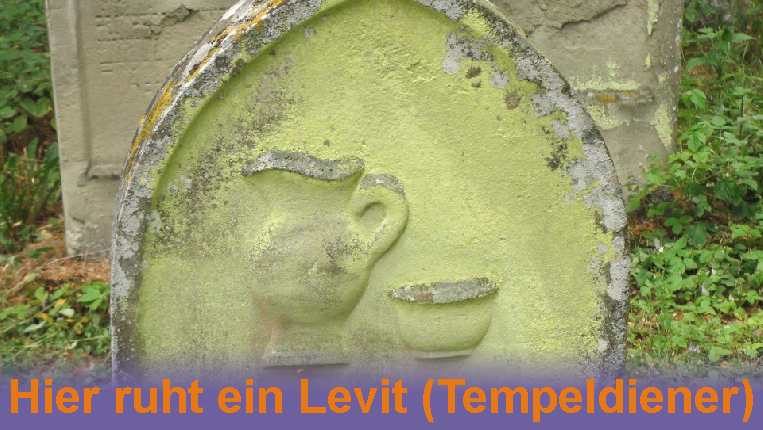 Film-Levit
