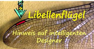 Libellenflugel-modernes_Design-s