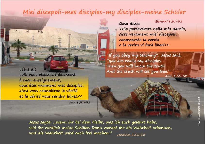 Miei discepoli-mes disciples-meine Schler-my disciples