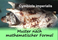 Muster_nach_mathematischer_Formel-Logo2
