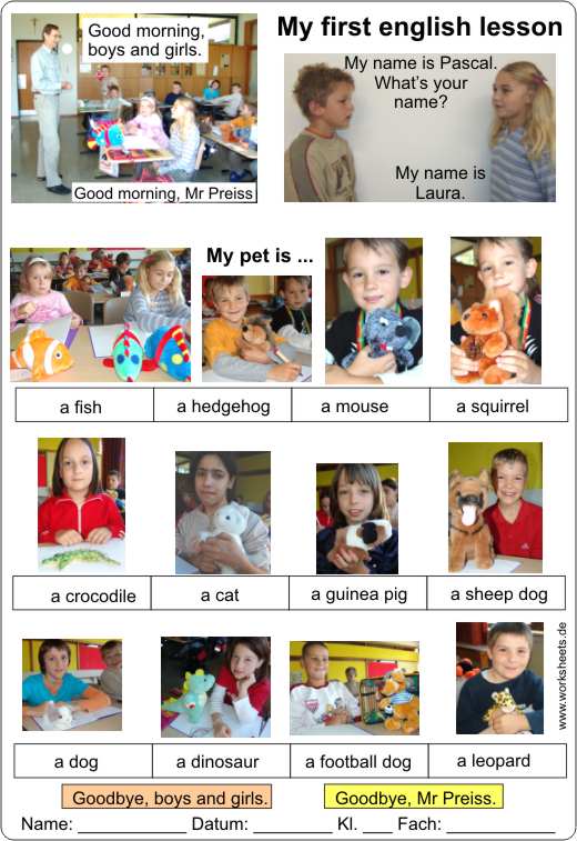My_first_lesson-with_pets