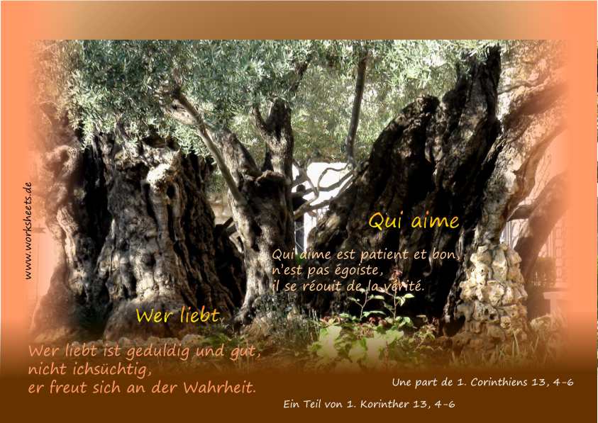 Qui aime est patient Wer liebt ist geduldig