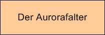 Der Aurorafalter