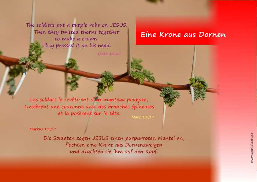 wi-Eine Krone aus Dornen1